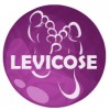 Levicose - gelis venų varikozei