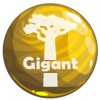 Gigant - varpos didinimo gelis
