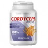 Cordyceps Pulse - hipertenzija