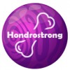Hondrostrong - sąnarių sveikatos produktas